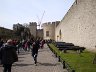 DSC04996