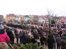 IMG_6549-r
