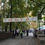 IMG_9868