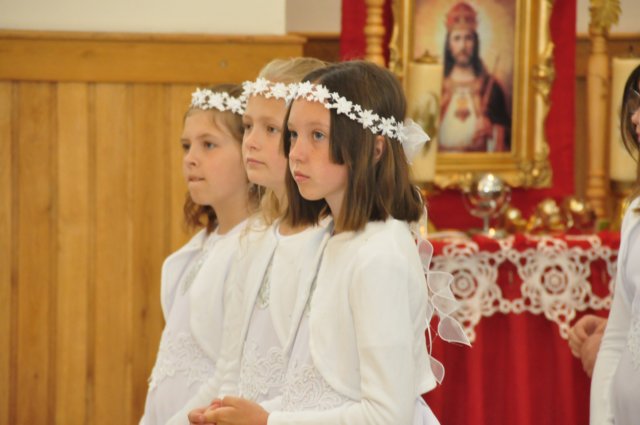dsc_7100.jpg