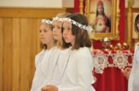 dsc_7100_small.jpg
